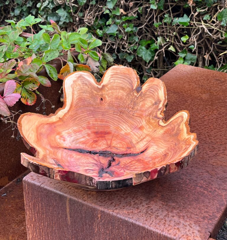 Schaal uit taxus hout. Door de grillige vorm van de doorsnede van de stam krijg je dit speelse effect. Wel goed uitkijken bij het draaien!